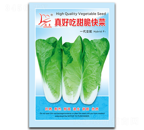 真好吃甜脆快菜-快菜種子-閩皇種業