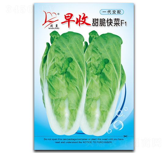 早收甜脆快菜-快菜種子-閩皇種業