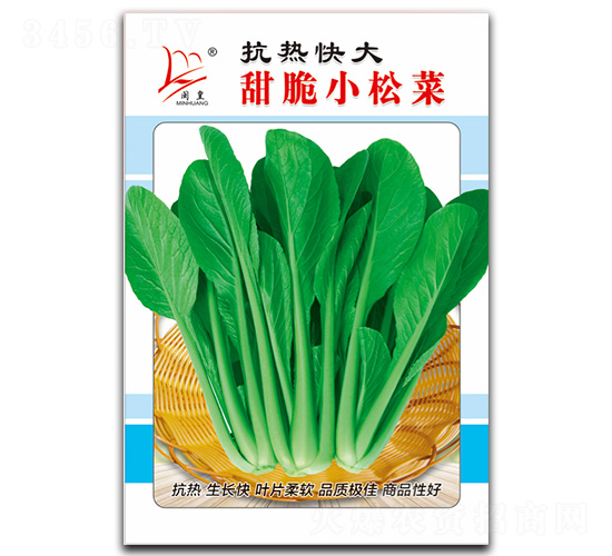 甜脆小松菜-松菜種子-閩皇種業