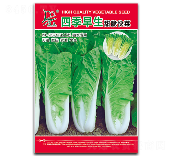 四季早生甜脆快菜-快菜種子-閩皇種業