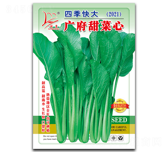 廣府甜菜心-菜心種子-閩皇種業