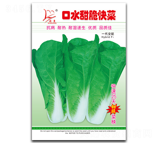 口水甜脆快菜-快菜種子-閩皇種業