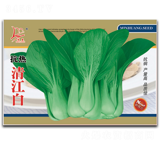 抗熱清江白-青菜種子-閩皇種業