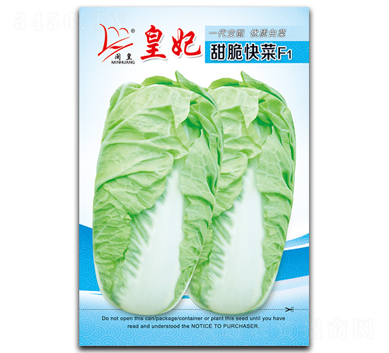 皇妃甜脆快菜-快菜種子-閩皇種業