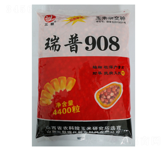瑞普908-玉米種子-三聯