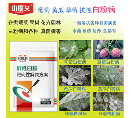 抗性靶斑靶向性解決方案-農便利-天行健