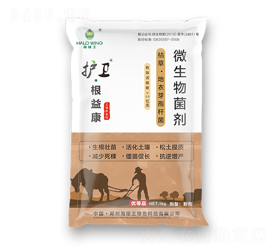 護衛·根益康-海綠王
