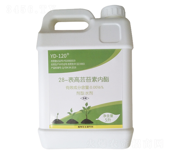 28表高蕓苔素內酯-鑫天蘭農業