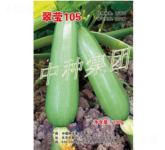 翠瑩105-西葫蘆種子-中種集團