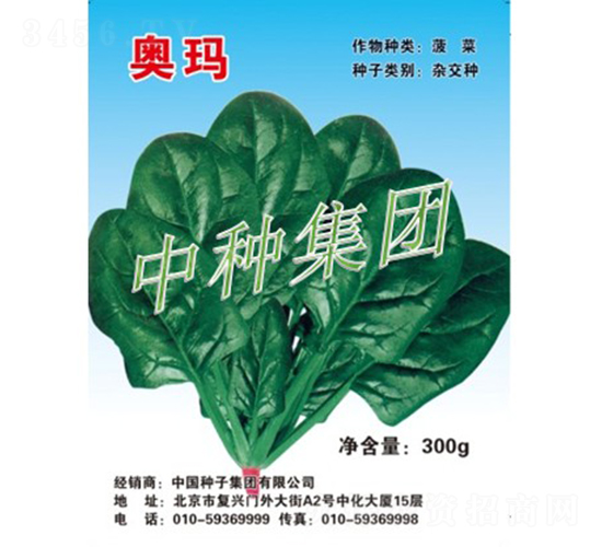 奧瑪-菠菜種子-中種集團