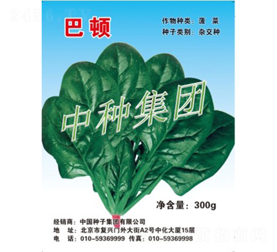 巴頓-菠菜種子-中種集團