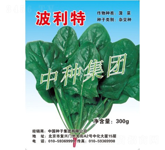 波利特-菠菜種子-中種集團
