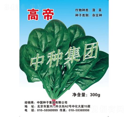 高帝-菠菜種子-中種集團