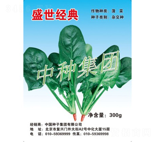 盛世經典-菠菜種子-中種集團
