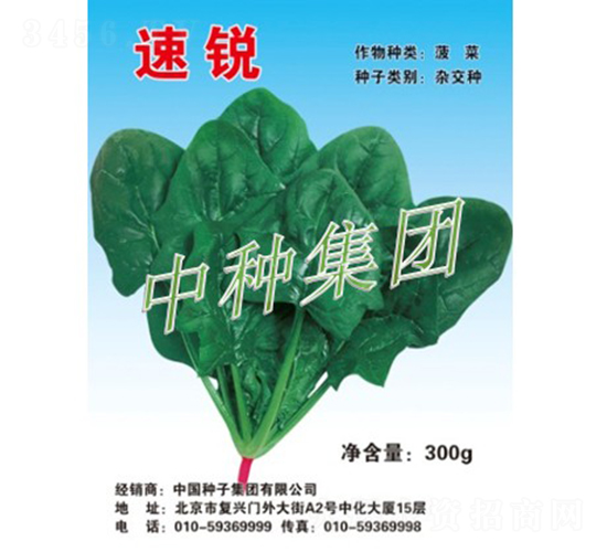 速銳-菠菜種子-中種集團