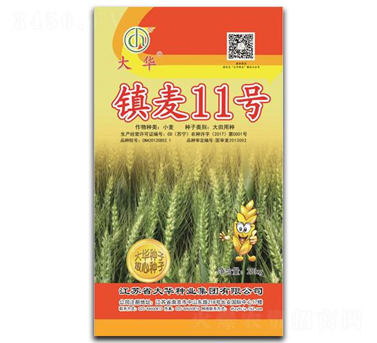 鎮麥11號-小麥種子-大華種業