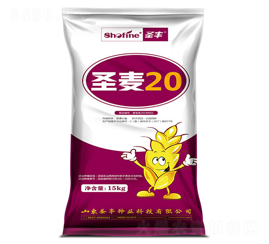 圣麥20-小麥種子-圣豐種業