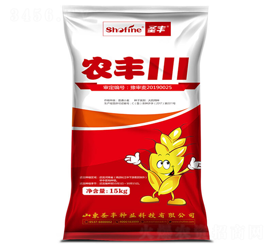 農豐111-小麥種子-圣豐種業