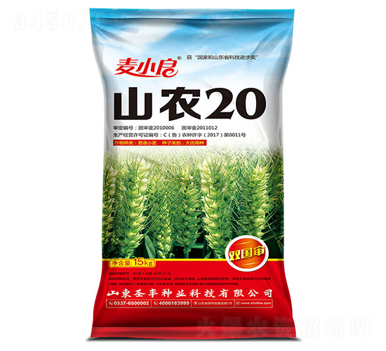 山農20-小麥種子-圣豐種業