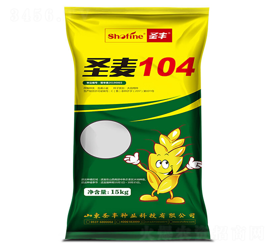 圣麥104-小麥種子-圣豐種業