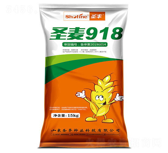 圣麥918-小麥種子-圣豐種業