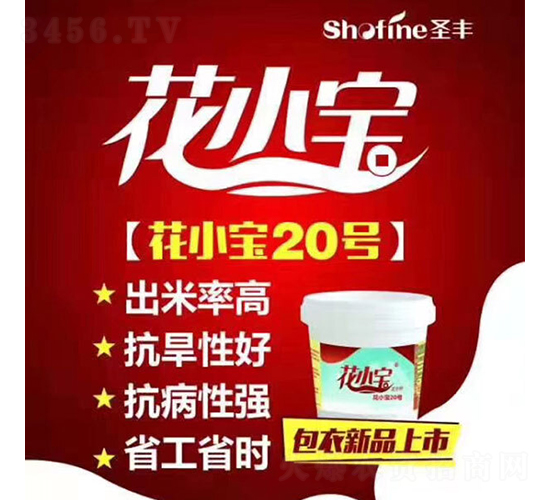 花小寶20-花生種子-圣豐種業