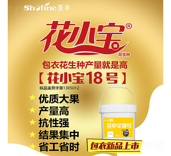 花小寶18號-花生種子-圣豐種業