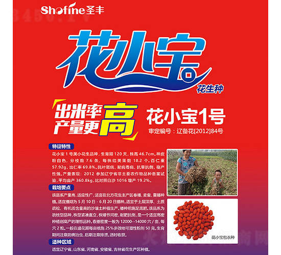 花小寶1號-花生種子-圣豐種業