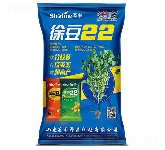徐豆22-大豆種子-圣豐種業