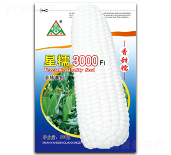 星糯3000-糯玉米種子-全興種業
