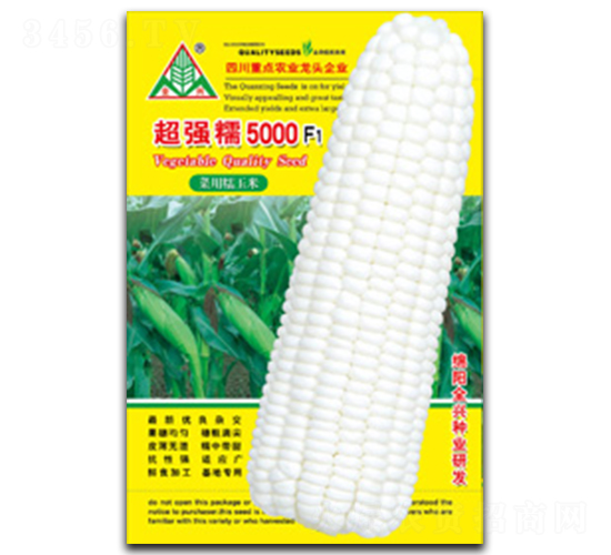 超強糯5000-糯玉米種子-全興種業