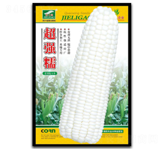超強糯-糯玉米種子-全興種業
