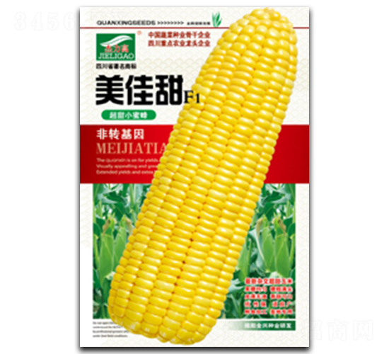 美佳甜-糯玉米種子-全興種業