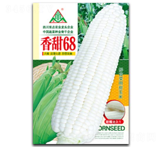 香甜68-糯玉米種子-全興種業