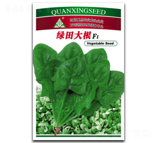 綠田大根-菠菜種子-全興種業