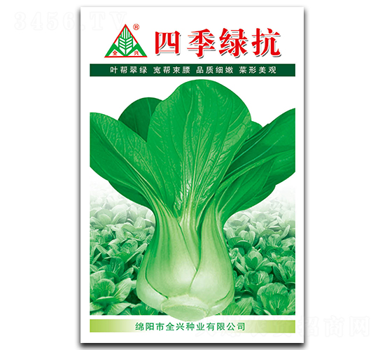 四季綠抗-青梗菜種子-全興種業(yè)