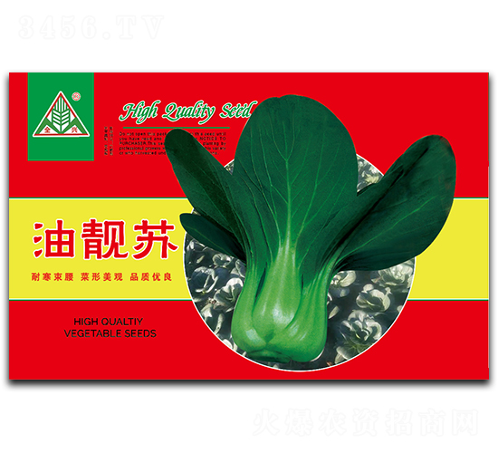 油靚蘇-青梗菜種子-全興種業