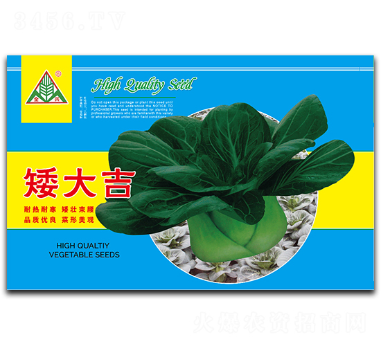 矮大吉-青梗菜種子-全興種業