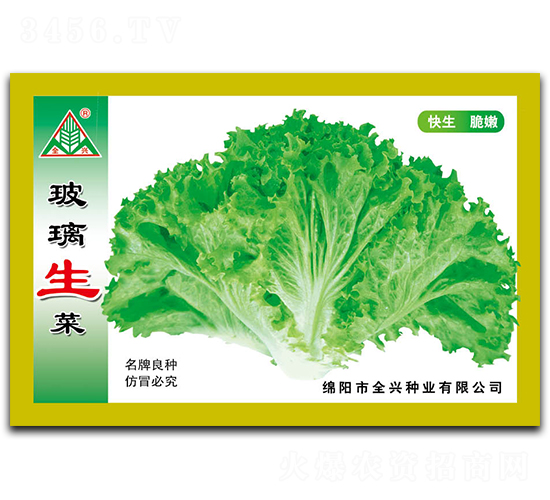 玻璃生菜-生菜種子-全興種業
