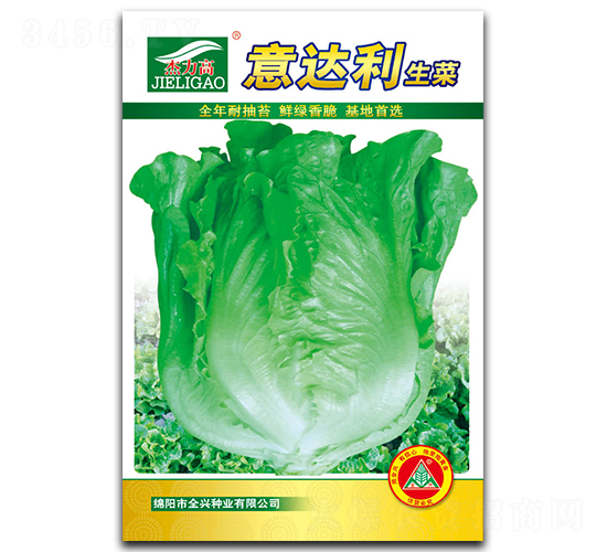 意達利生菜-生菜種子-全興種業