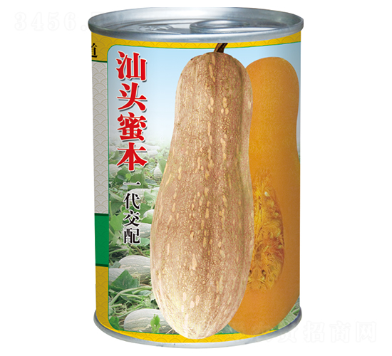 汕頭蜜本-南瓜種子-全興種業