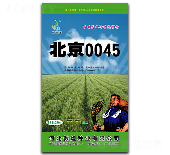 北京0045-小麥種子-敦煌種業