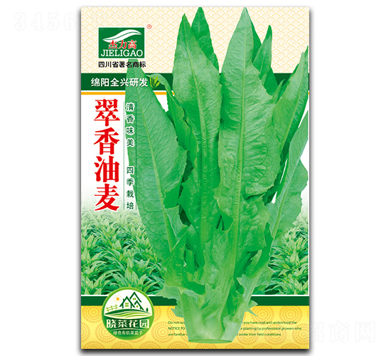翠香油麥-油麥菜種子-全興種業
