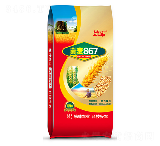 冀867-小麥種子-宏瑞種業