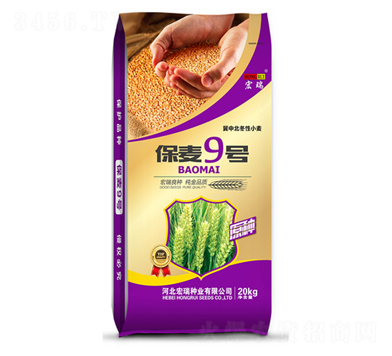 保麥9號-小麥種子-宏瑞種業