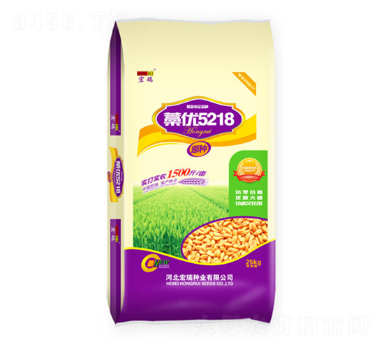 藁優5218-小麥種子-宏瑞種業
