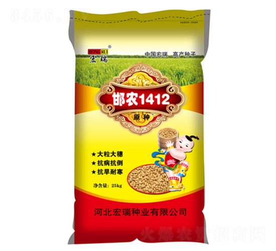 邯農1412（25kg）-小麥種子-宏瑞種業