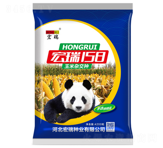 宏瑞158（藍）-玉米種子-宏瑞種業