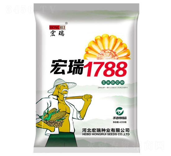 宏瑞1788-玉米種子-宏瑞種業