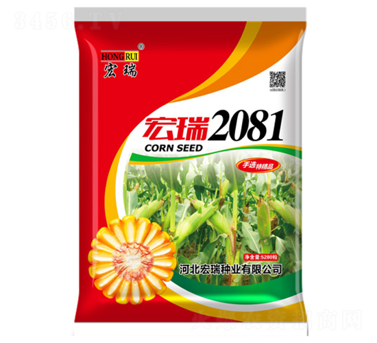 宏瑞2081（紅）-玉米種子-宏瑞種業